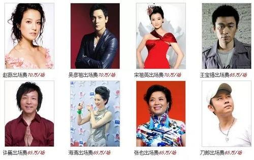 大陆明星出场费